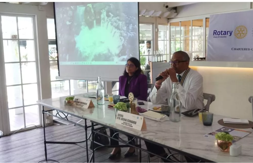 2nd Luncheon Meeting